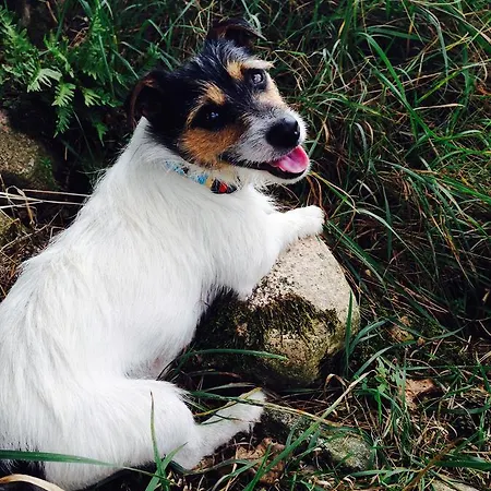 Klosterhotel Marienfließ Hotel 3*