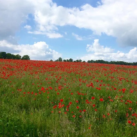 Klosterhotel Marienfließ 3*
