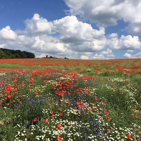 Klosterhotel Marienfließ Hotel