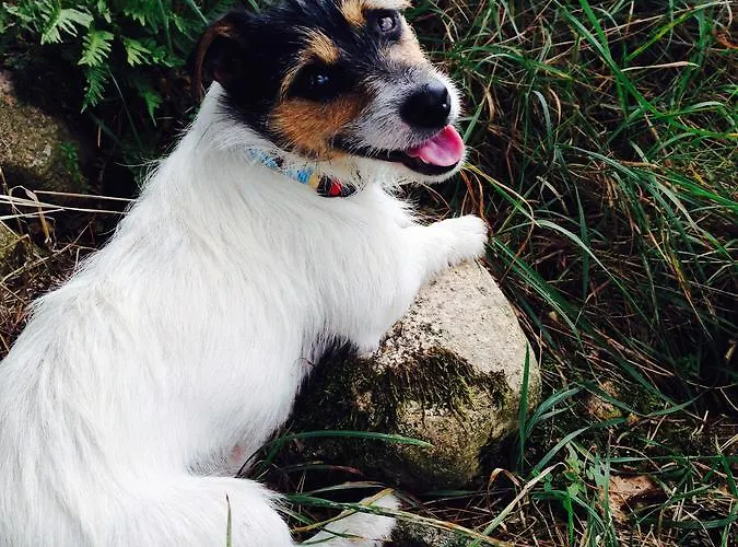 Klosterhotel Marienfliess 酒店 3*