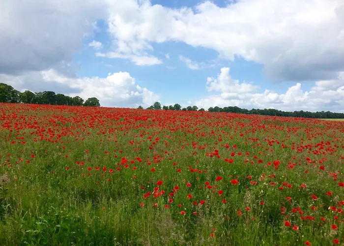 Klosterhotel Marienfliess 3*