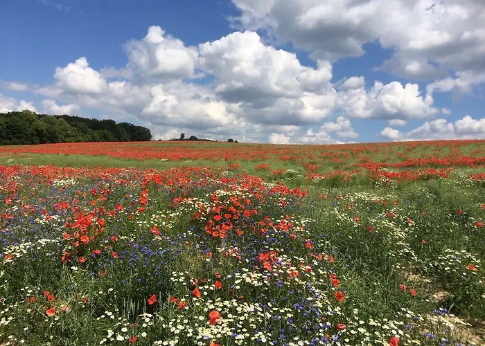 Klosterhotel Marienfliess 酒店
