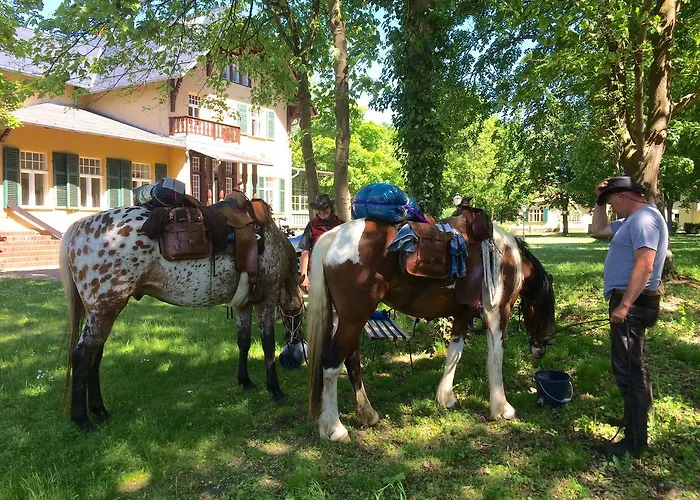 Klosterhotel Marienfliess 酒店 Stepenitz